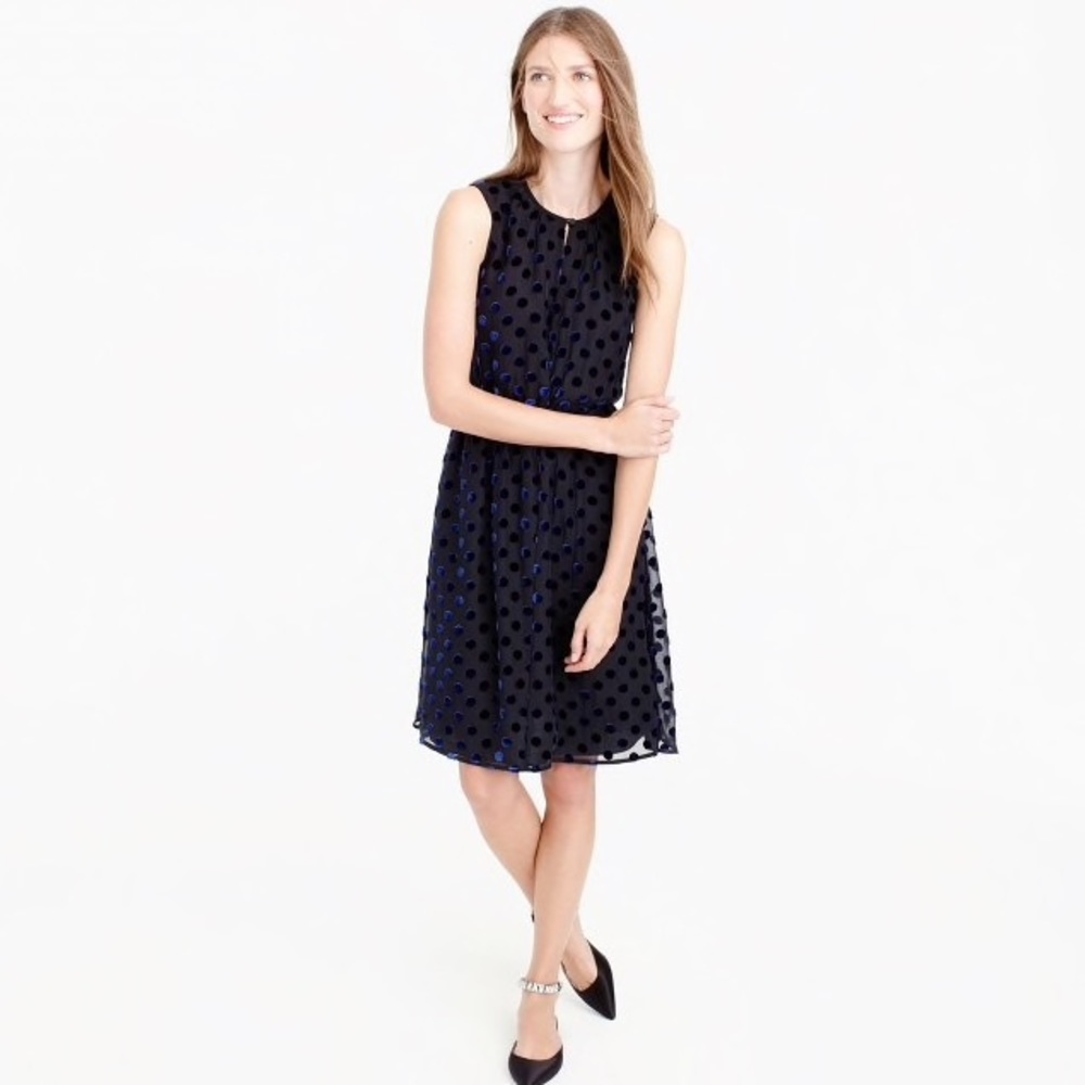 J. Crew Velvet Polka Dot Dress - Picture 2 of 4